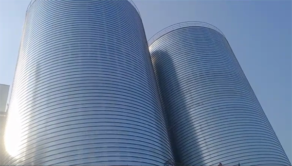 灞桥2座混凝土高架卷板仓